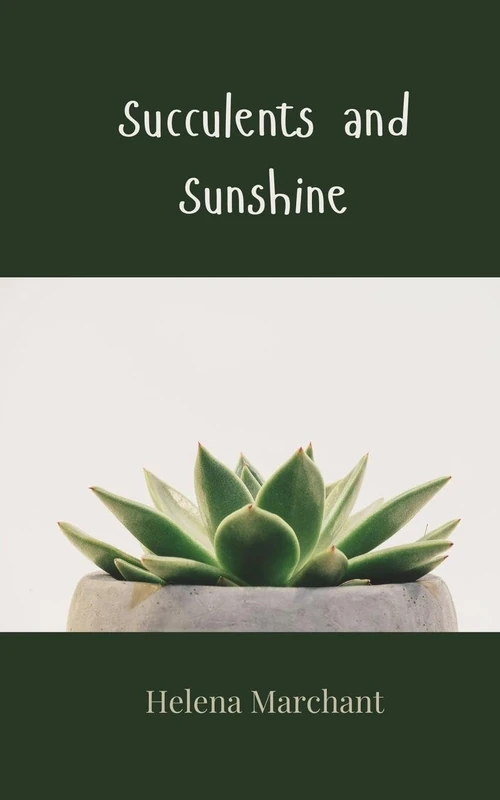 Succulents and Sunshine