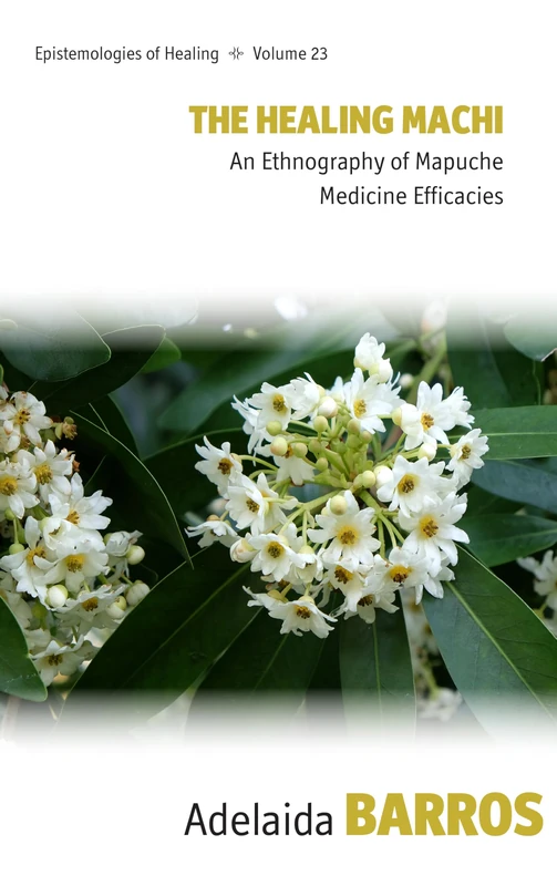 The Healing Machi: An Ethnography of Mapuche Medicine Efficacies (Epistemologies of Healing, 23)