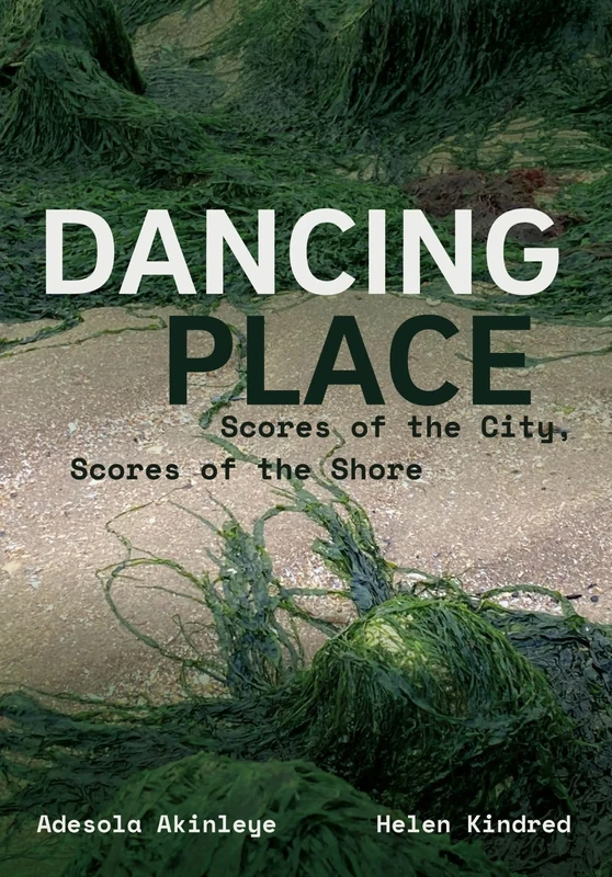 Dancing Place - Scores of the City, Scores of the Shore