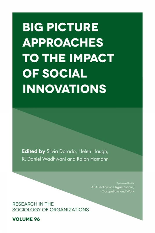 Big Picture Approaches to the Impact of Social Innovations: 96 (Research in the Sociology of Organizations, 96)