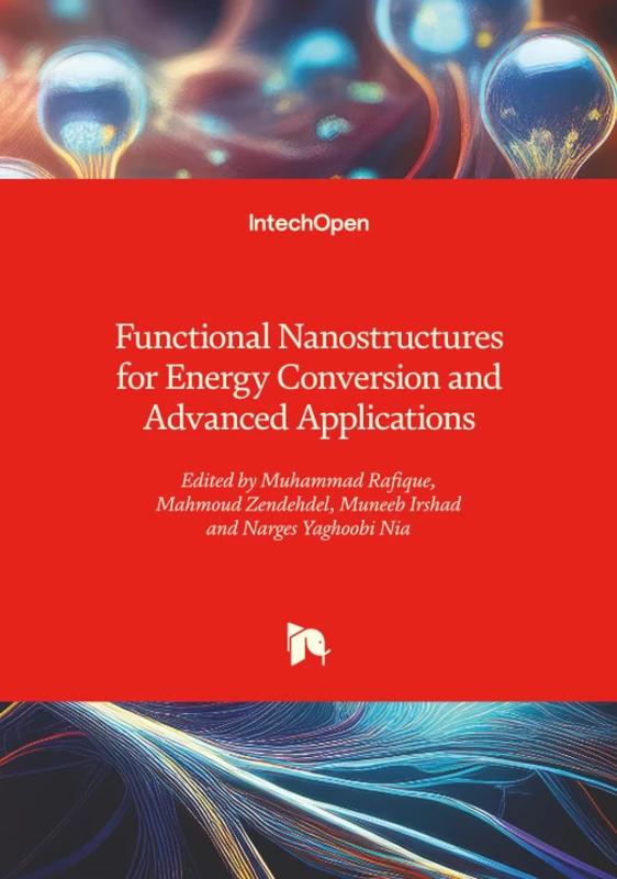 Functional Nanostructures for Energy Conversion and Advanced Applications