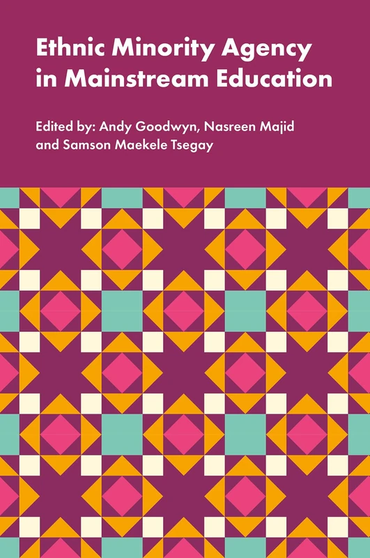 Ethnic Minority Agency in Mainstream Education: A Regional Perspective on a National Challenge - Image 1