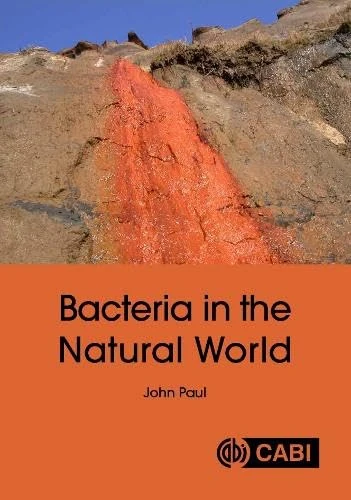 Bacteria in the Natural World - Image 1