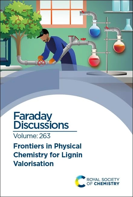 Frontiers in Physical Chemistry for Lignin Valorisation: Faraday Discussion 263: Volume 263