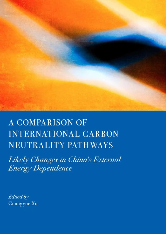 A Comparison of International Carbon Neutrality Pathways: Likely Changes in China's External Energy Dependence