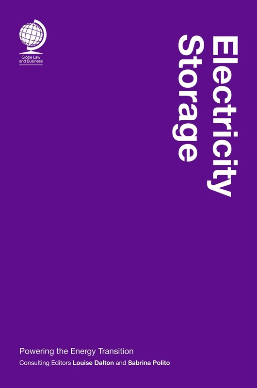 Electricity Storage: Powering the Energy Transition