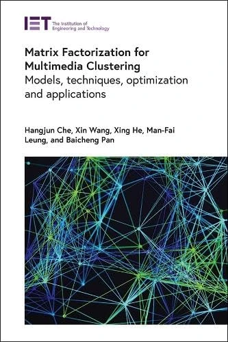 Matrix Factorization for Multimedia Clustering: Models, techniques, optimization and applications (Computing and Networks)