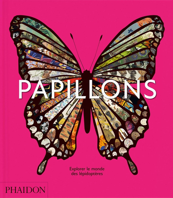 Papillons: Explorer le monde des lépidoptères