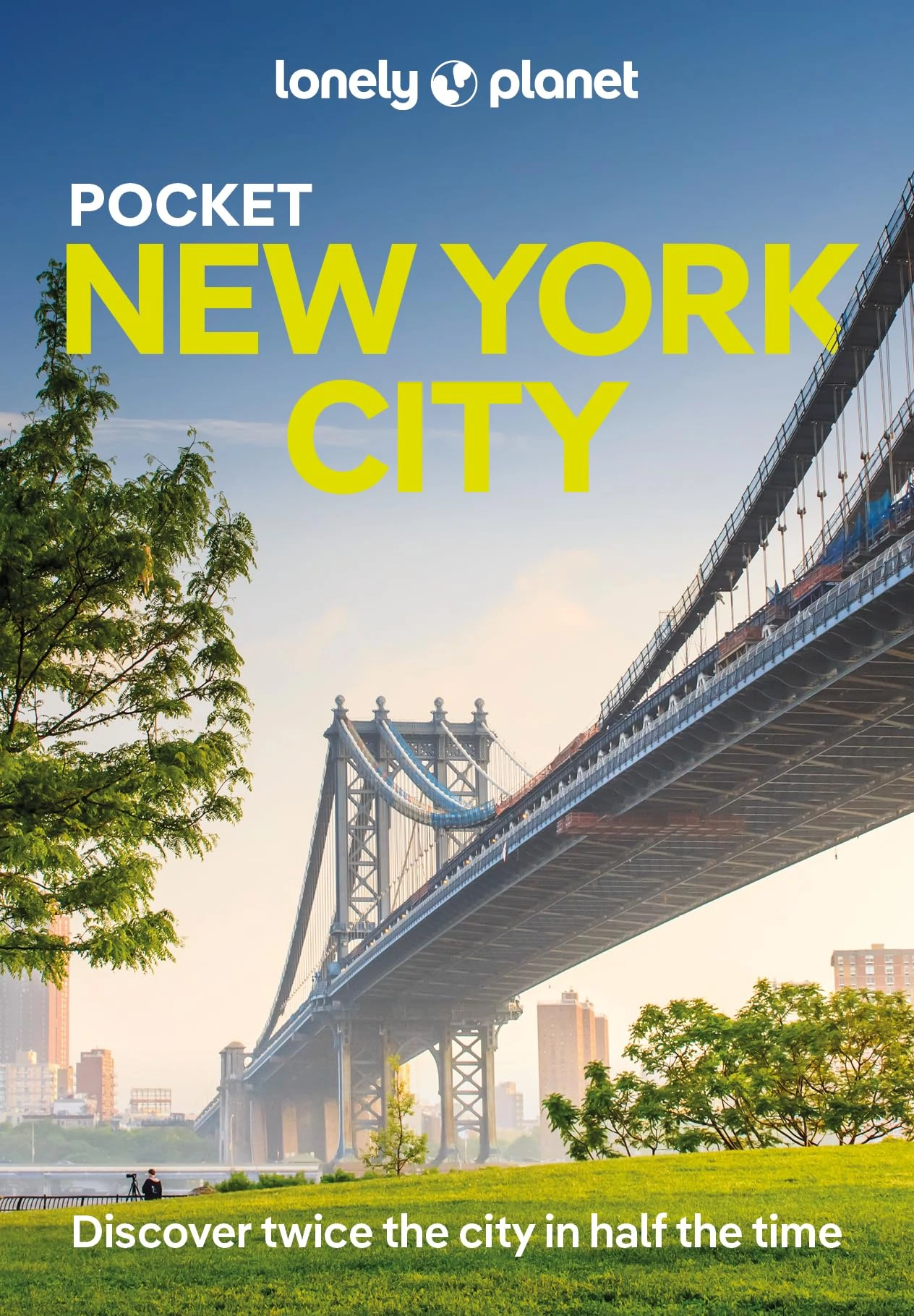 Lonely Planet Pocket New York City (Pocket Guide)