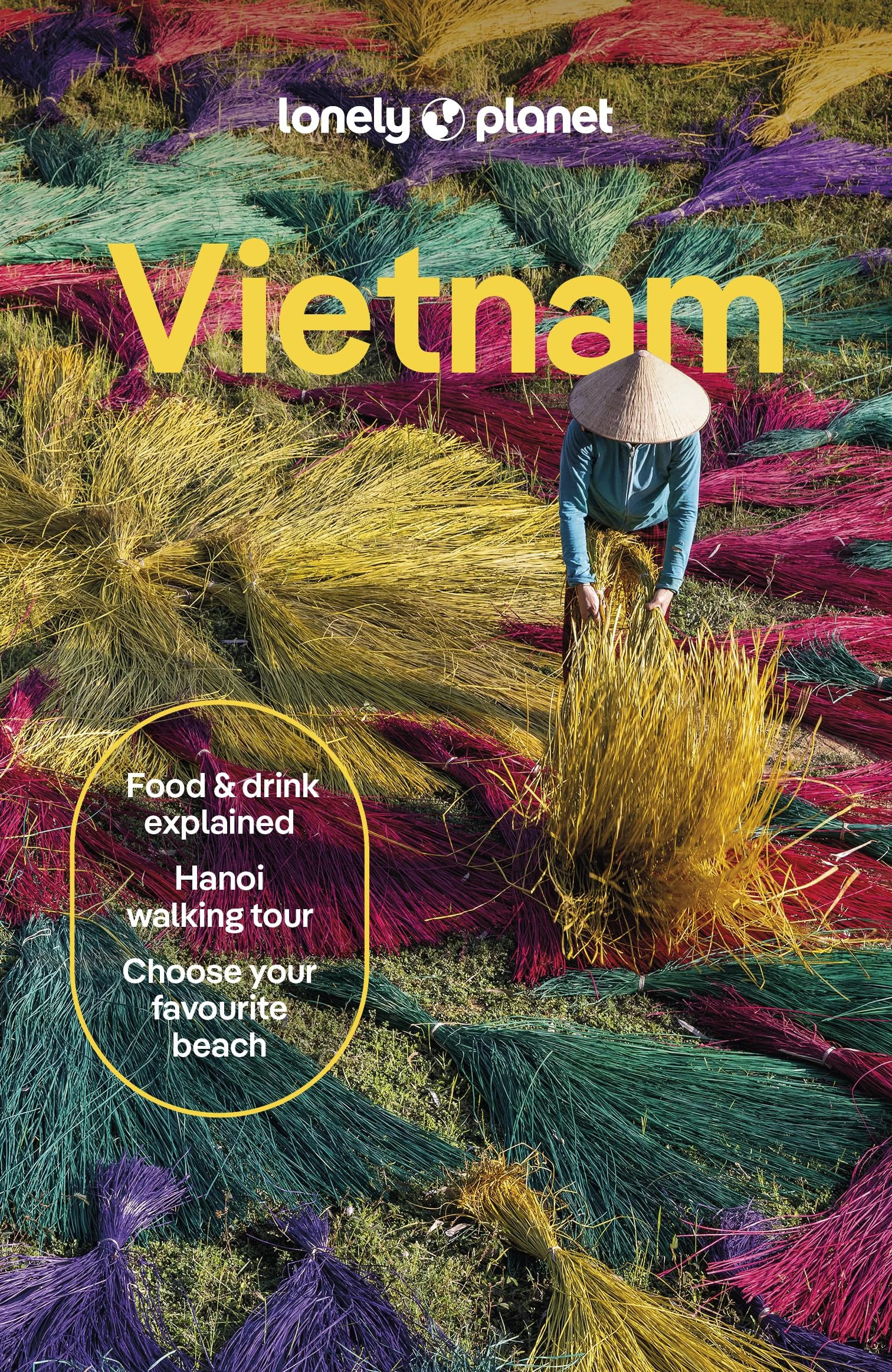 Lonely Planet Vietnam (Travel Guide)