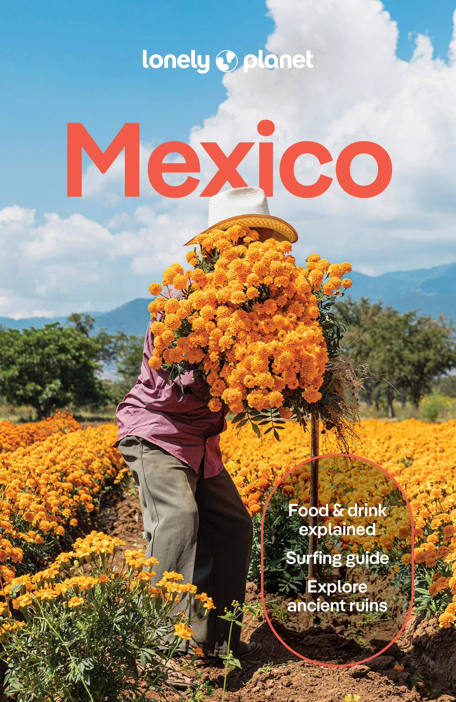 Lonely Planet Mexico (Travel Guide)