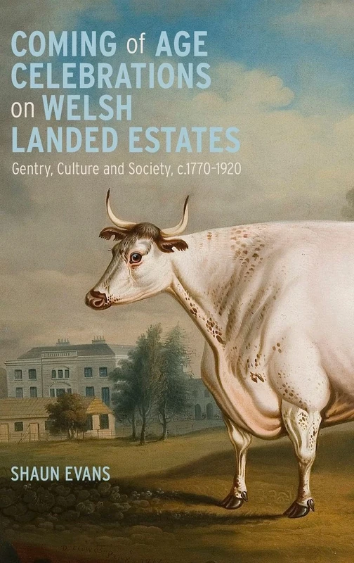 Coming of Age Celebrations on Welsh Landed Estates: Gentry, Culture and Society, c.1770-1920: 8 (Boydell Studies in Rural History)