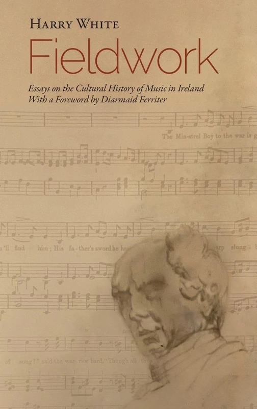 Fieldwork: Essays on the Cultural History of Music in Ireland: 16 (Irish Musical Studies)