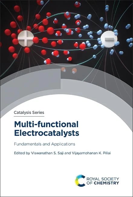 Multi-functional Electrocatalysts: Fundamentals and Applications: Volume 46 (Catalysis Series)