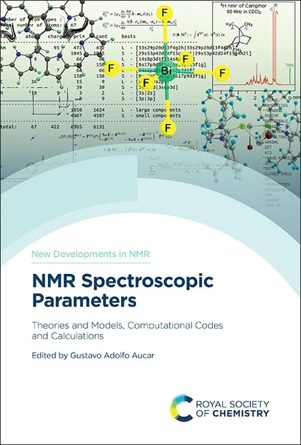 NMR Spectroscopic Parameters: Theories and Models, Computational Codes and Calculations: Volume 38 (New Developments in NMR)
