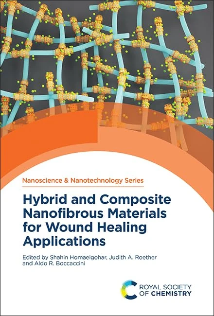 Hybrid and Composite Nanofibrous Materials for Wound Healing Applications: Volume 72 (Nanoscience & Nanotechnology Series)