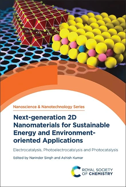 Next-generation 2D Nanomaterials for Sustainable Energy and Environment-oriented Applications: Electrocatalysis, Photoelectrocatalysis and ... 66 (Nanoscience & Nanotechnology Series)