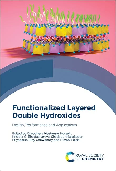 Functionalized Layered Double Hydroxides: Design, Performance and Applications