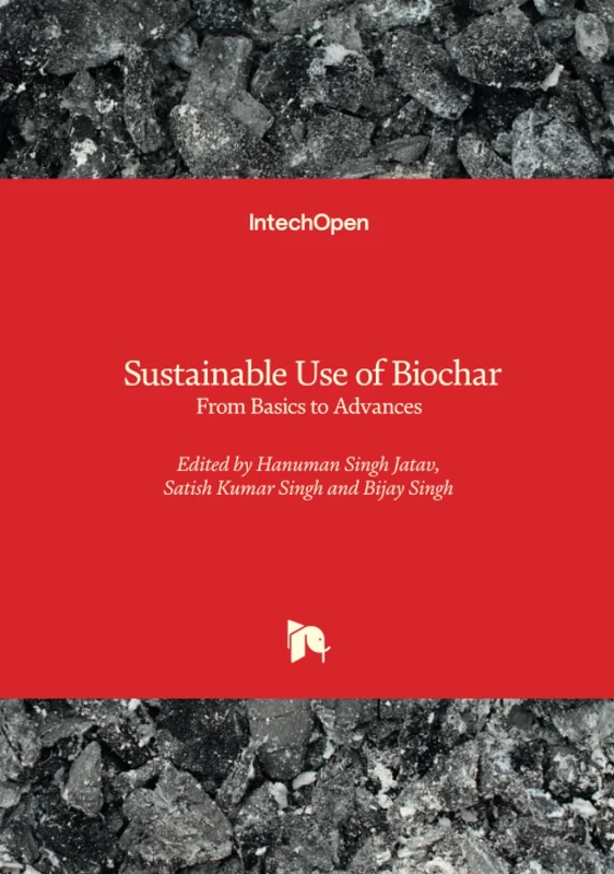 Sustainable Use of Biochar - From Basics to Advances - Image 1