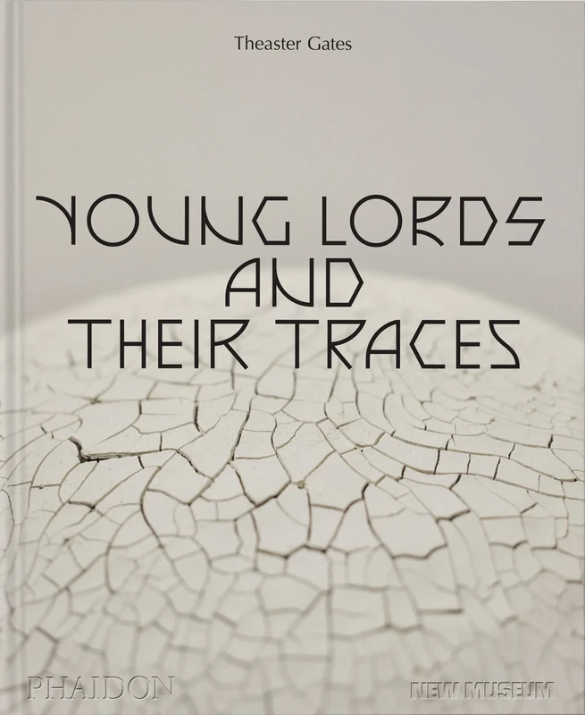 Theaster Gates: Young Lords and Their Traces - Image 1