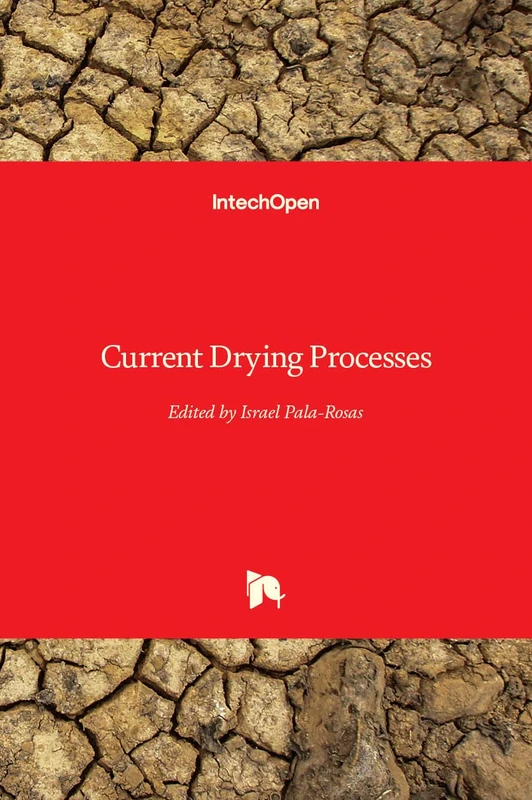Current Drying Processes