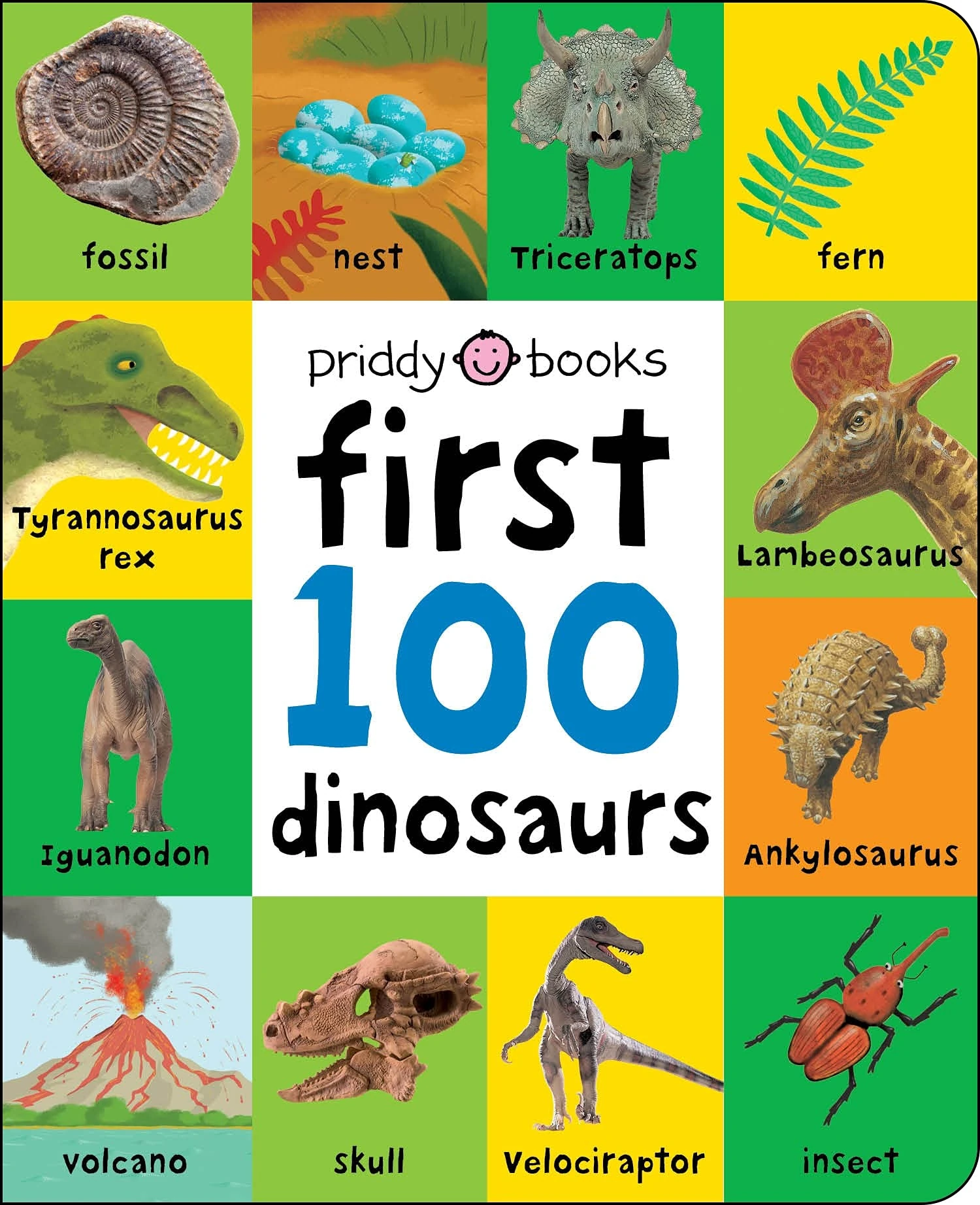 First 100 Dinosaurs: A soft-to-touch, first words book for babies and toddlers (First 100 Soft To Touch)