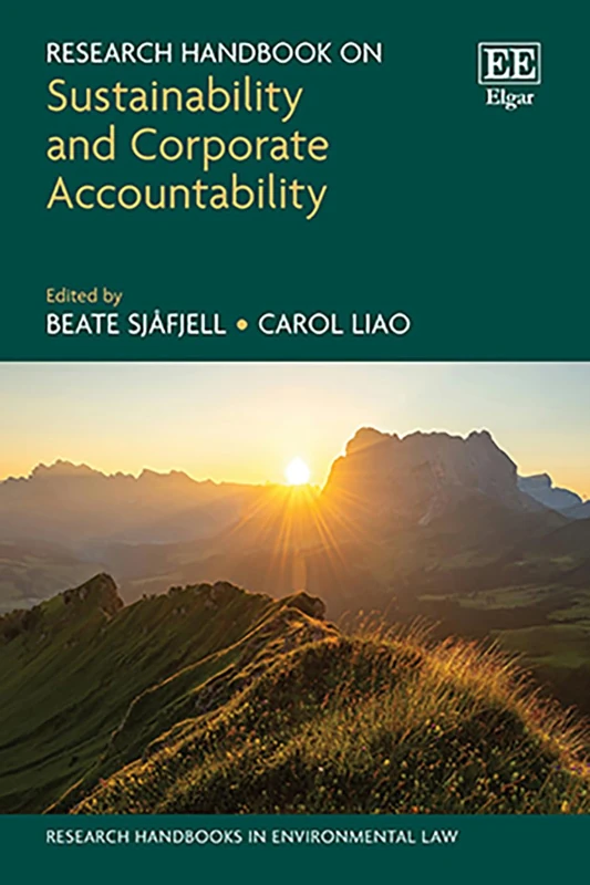 Research Handbook on Sustainability and Corporate Accountability (Research Handbooks in Environmental Law series)