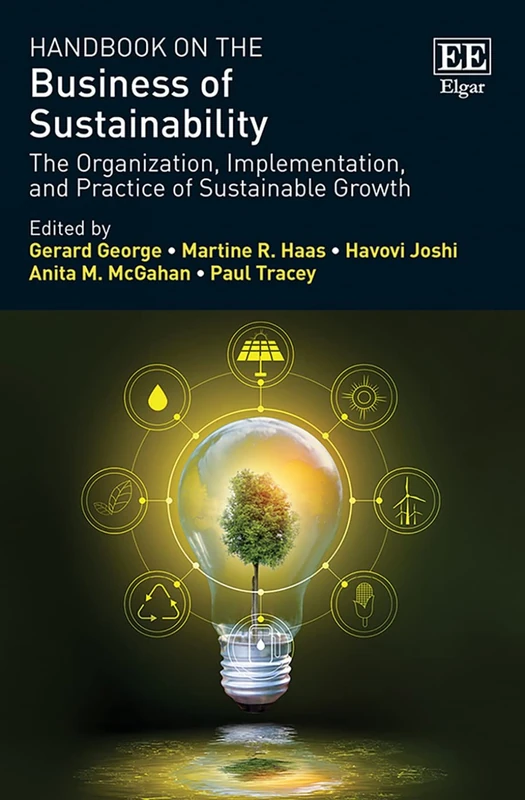 Handbook on the Business of Sustainability: The Organization, Implementation, and Practice of Sustainable Growth (Research Handbooks in Business and Management series)