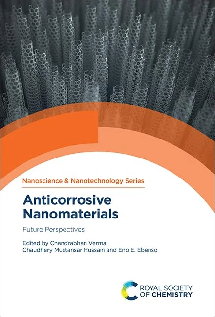 Anticorrosive Nanomaterials: Future Perspectives: Volume 56 (Nanoscience & Nanotechnology Series)