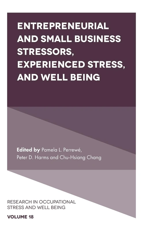 Entrepreneurial and Small Business Stressors, Experienced Stress, and Well Being: 18 (Research in Occupational Stress and Well Being, 18)