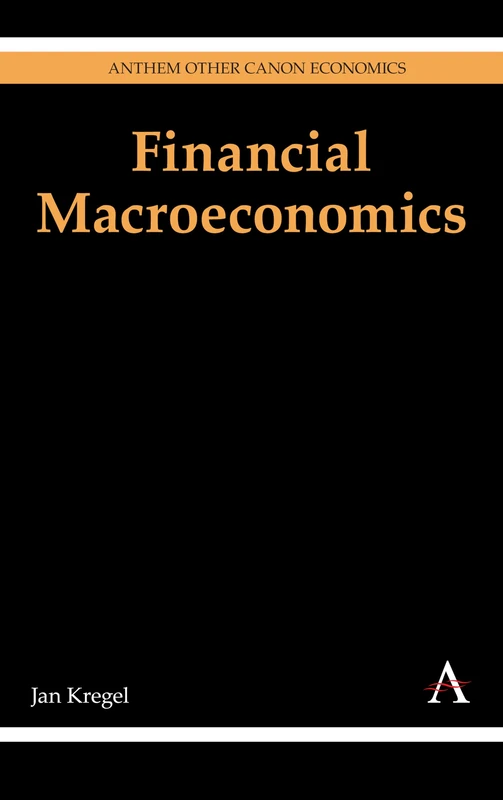 Financial Macroeconomics (Anthem Other Canon Economics)