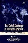 The Global Challenge to Industrial Districts: Small and Medium-sized Enterprises in Italy and Taiwan