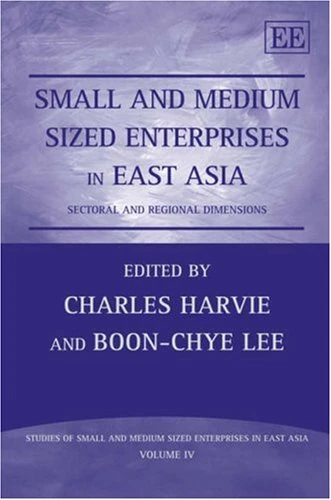 Small and Medium Sized Enterprises in East Asia: Sectoral and Regional Dimensions (Studies of Small and Medium Sized Enterprises in East Asia series)