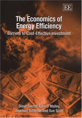 Edward Elgar - The Economics of Energy Efficiency Book