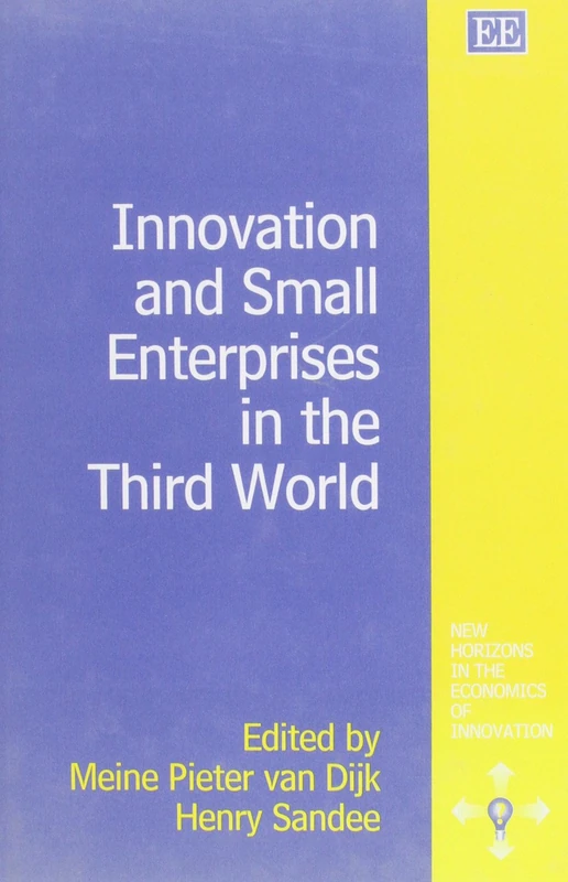 Innovation and Small Enterprises in the Third World (New Horizons in the Economics of Innovation series)