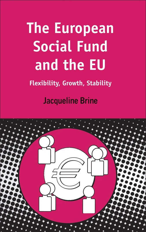 European Social Fund and the Eu: Flexibility, Growth, Stability: No. 11 (Contemporary European Studies) - Image 1