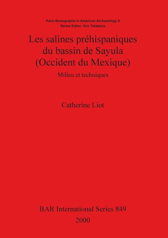 Les Salines Prehispaniques Du Bassin De Sayula (Occident Du Mexique): Milieu et techniques: 849 (British Archaeological Reports International Series)