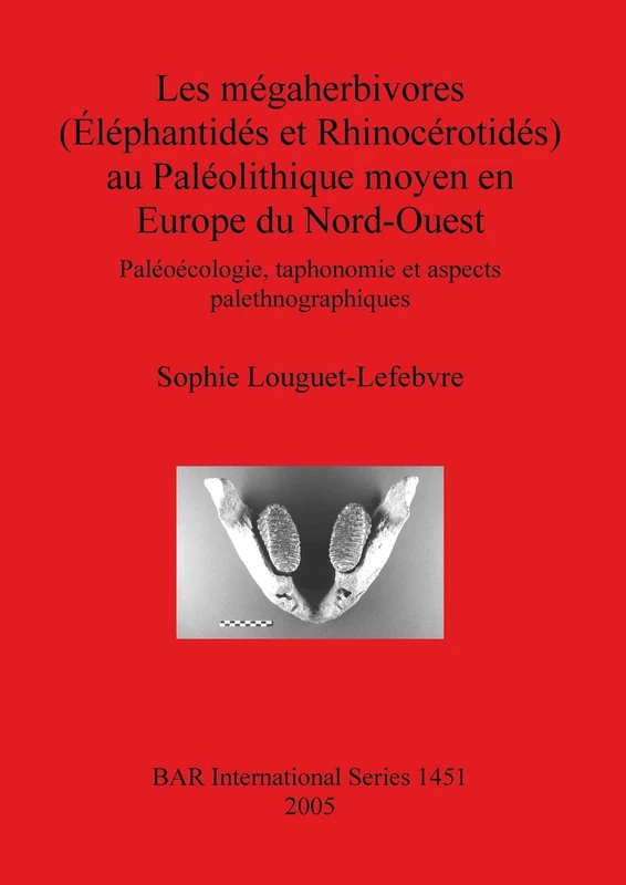 Les mégaherbivores (Éléphantidés et Rhinocérotidés) au Paléolithique moyen en Europe du Nord-Ouest: Paléoécologie, taphonomie et aspects ... Archaeological Reports International Series)