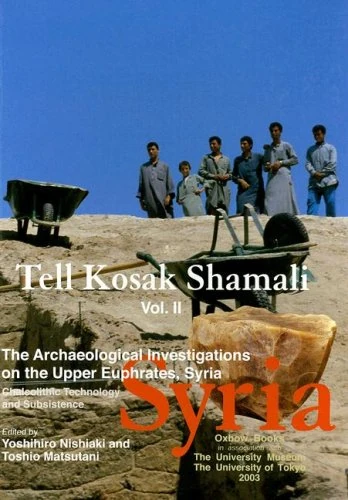 Tell Kosak Shamali Vol II: The Archaeological Investigations on the Upper Euphrates, Syria. Chalcolithic Technology and Subsistence - Image 1