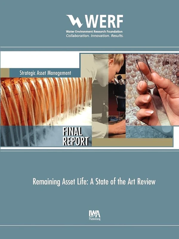 Remaining Asset Life: A State of the Art Review (WERF Research Report Series)
