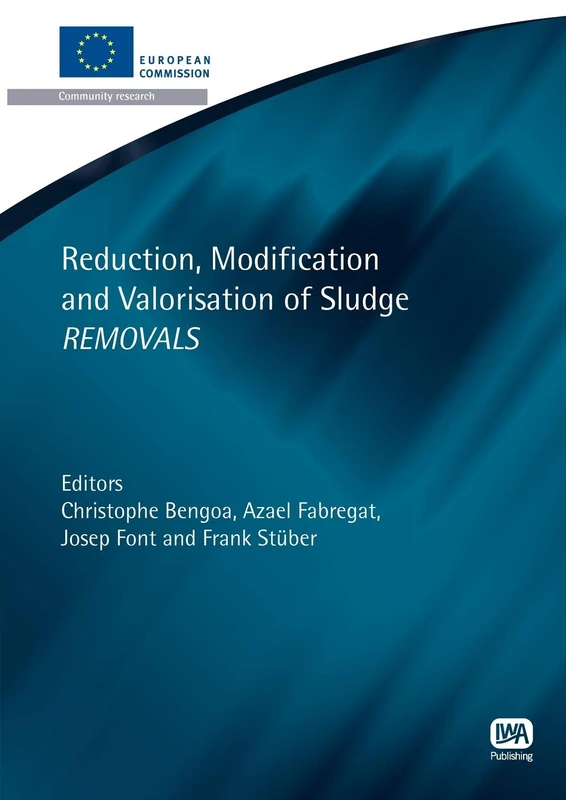 Reduction, Modification and Valorisation of Sludge (European Water Research Series)