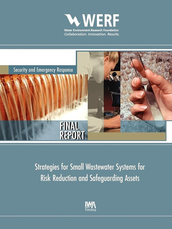 Strategies for Small Wastewater Systems for Risk Reduction and Safeguarding Assets (WERF Research Report Series)