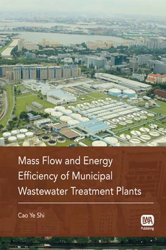 Mass Flow and Energy Efficiency of Municipal Wastewater Treatment Plants