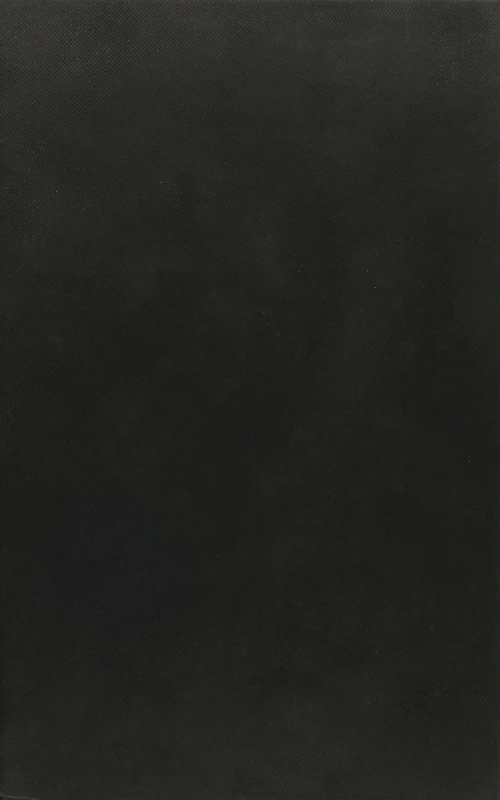 Analysing Strategic Environmental Assessment: Towards Better Decision-Making (The Fondazione Eni Enrico Mattei series on Economics, the Environment and Sustainable Development)