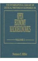 Open Economy Macroeconomics