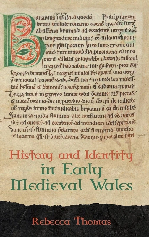 History and Identity in Early Medieval Wales: 44 (Studies in Celtic History)