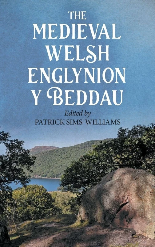 The Medieval Welsh Englynion y Beddau: The 'Stanzas of the Graves', or 'Graves of the Warriors of the Island of Britain', attributed to Taliesin: 46 (Studies in Celtic History)
