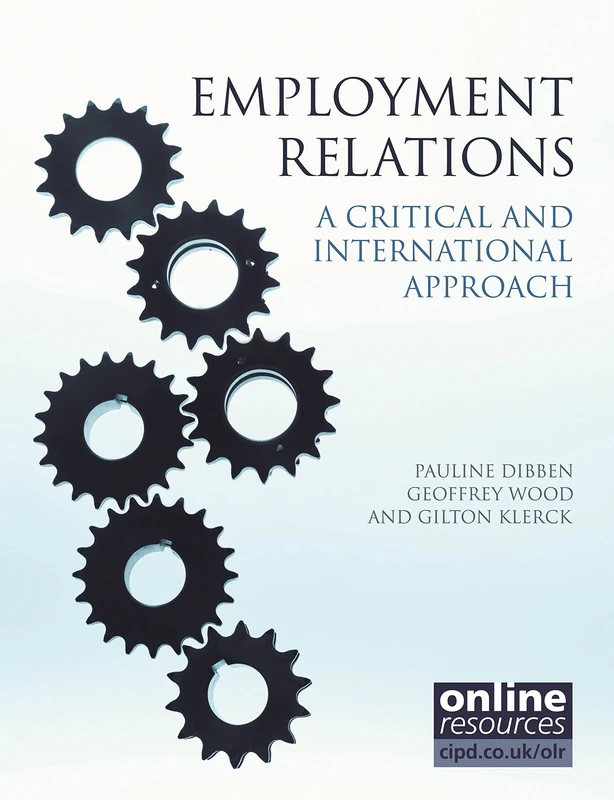 Employment Relations: A Critical and International Approach (Cipd Publications)