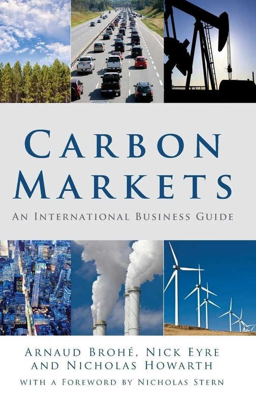 Carbon Markets: An International Business Guide (Environmental Market Insights)