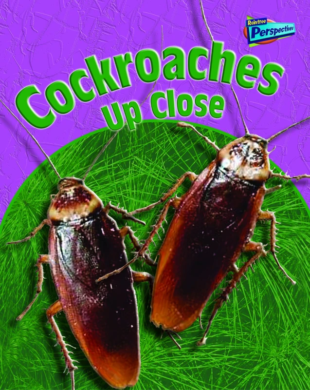 Minibeasts Up Close Pack B